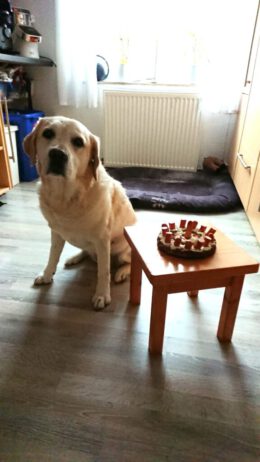 17.06.20 ❤️ Happy Birthday zum 13. Geburtstag